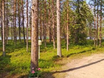 Фото номера Дом для отпуска Дома для отпуска Holiday Home Syväniemi г. Säkkilänvaara 36