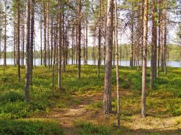 Фото номера Дом для отпуска Дома для отпуска Holiday Home Syväniemi г. Säkkilänvaara 6
